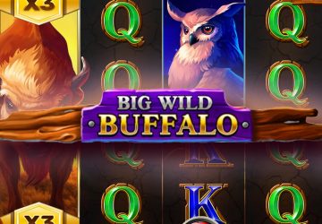 Слот Big Wild Buffalo в Dragon Money Casino